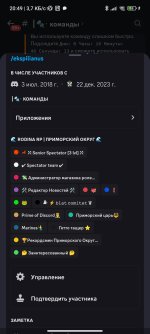 Screenshot_2024-01-02-20-49-27-655_com.discord.jpg