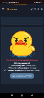Screenshot_2024-03-26-11-23-28-534_com.android.chrome.jpg