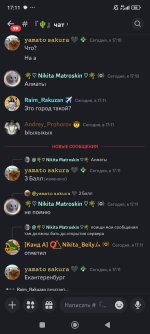 Screenshot_2024-06-30-17-11-55-409_com.discord.jpg