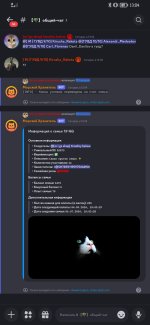 Screenshot_20240813_130456_com.discord.jpg