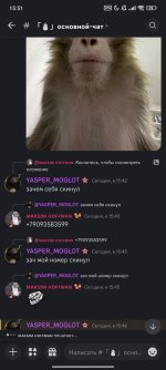 Screenshot_2024-12-07-15-51-30-871_com.discord.jpg