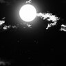 Misha_Slens