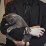 Ruslan_Haidarov