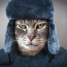 Vadim_Kiselev
