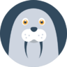 Patrick_Morzhov