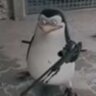 Sanya_Oblomov