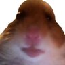 Qorick_Killside