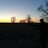 Met_Moor