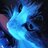 Tony_Rider